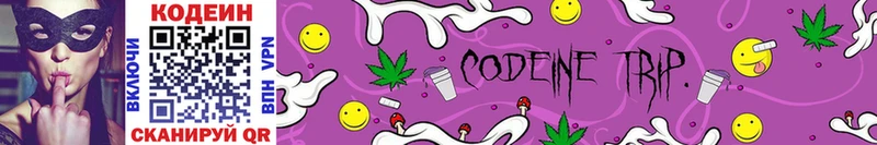 закладки  Сасово  Codein Purple Drank 