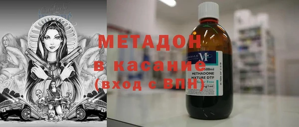 прущие грибы Алзамай