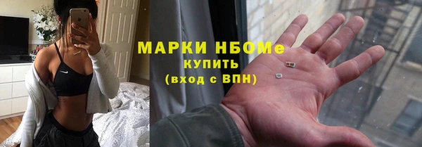 прущие грибы Алзамай