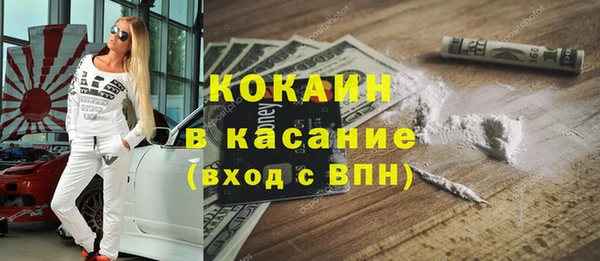 прущие грибы Алзамай