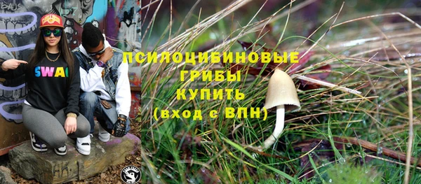 тгк Алексин