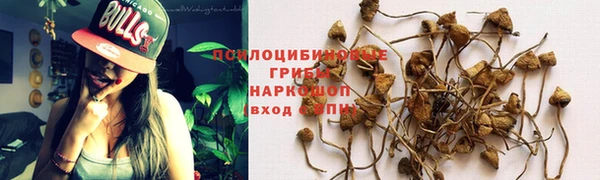 стафф Алексеевка
