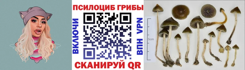 Псилоцибиновые грибы прущие грибы  Сасово 